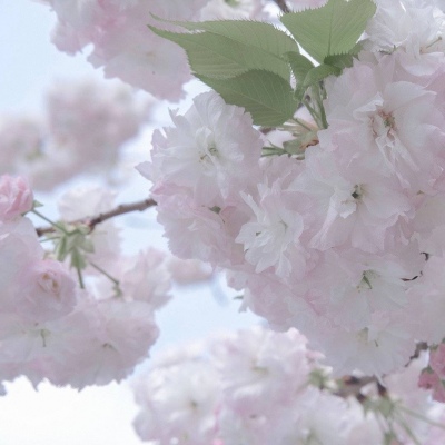 兽设沙漠场景设计Furry群